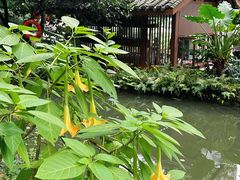 -成都市活水公园