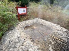 -天芳悦潭度假村温泉