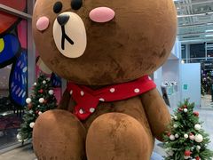 -line friends(明洞旗舰店)