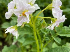 -白河湾山水缘民宿