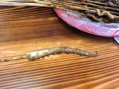 -十里铺铁板鱿鱼