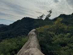 -大岭沟猕猴桃谷风景区