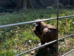 -宁波野生动物园
