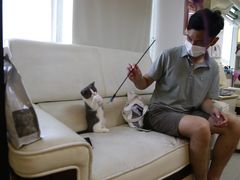 -lincat·猫舍(广州店)