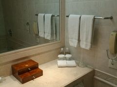 -上海南新雅大酒店