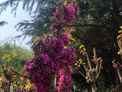 -白塘生态植物园