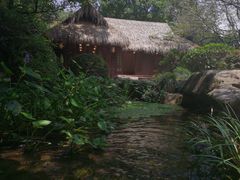 -中国茶叶博物馆(双峰馆区)