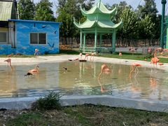 -秦皇岛野生动物园