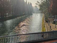 -蜀绣公园
