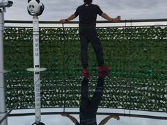 -黄海国家森林公园