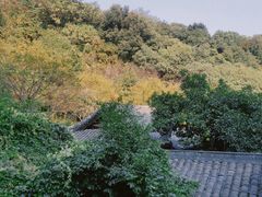 -杭州半山国家森林公园