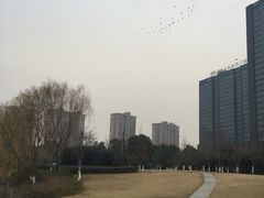 -杭州城北体育公园