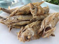 -庆岭迎宾园正宗活鱼馆