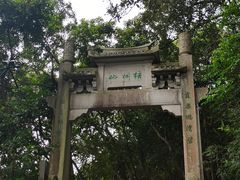 -梧桐山风景名胜区