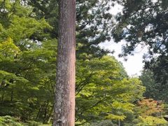 -三千院