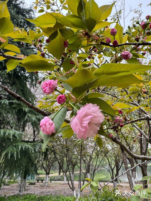 白塘生态植物园图片
