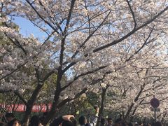 -东北农家小院(定西路店)