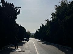 -旅顺博物馆