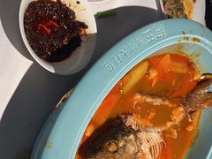 -阿五黄河大鲤鱼(英协路店)