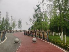 -府河摄影公园