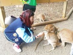 -费瑟代尔野生动物园