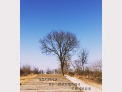 -汉长安城未央宫国家考古遗址公园