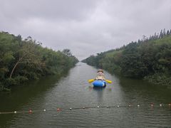 -黄海国家森林公园