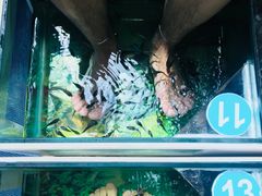 -青岛东方影都融创水世界