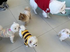 -怪兽屋·羊驼·猫咖·狗咖(俊华广场店)