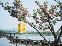 -尚湖风景区