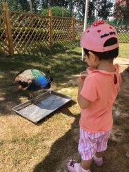 -萌宠亲子动物乐园(槐房万达店)