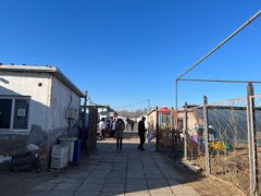 -大自然农场蔬菜草莓采摘园