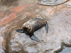 -郑州海洋馆