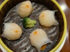 -古南都·老广东酒楼(龙江店)