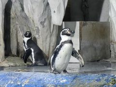 -太平洋海底世界