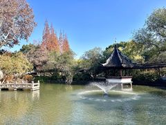 -上海醉白池公园