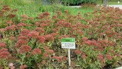 点击看大图 -大望京儿童游乐场