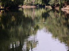 -同里国家湿地公园