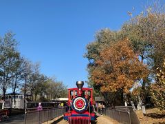 -永定河休闲森林公园