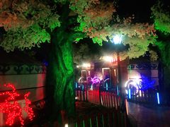 -大汗行宫园林餐厅