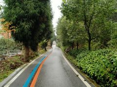 -两河城市森林公园