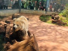 -昆明动物园