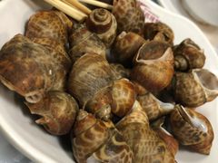 水煮花螺-桥底辣蟹(谢斐道店)