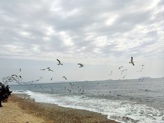 -棒棰岛宾馆景区