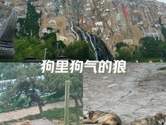 -西霞口神雕山野生动物世界