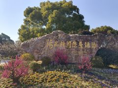 -无锡梅园公园