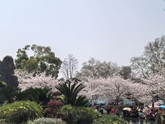 -堤角公园