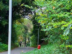 -紫马岭公园
