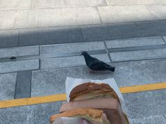-詹爷爷乌节路街头冰淇淋