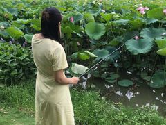 -艾溪湖湿地公园